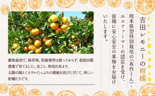 【ななつ星in九州 採用 オレンジジュース 】あいかちゃん レモン 果汁 入り セット(レモン果汁150ml 1本、あいかちゃん果汁180ml 7本)