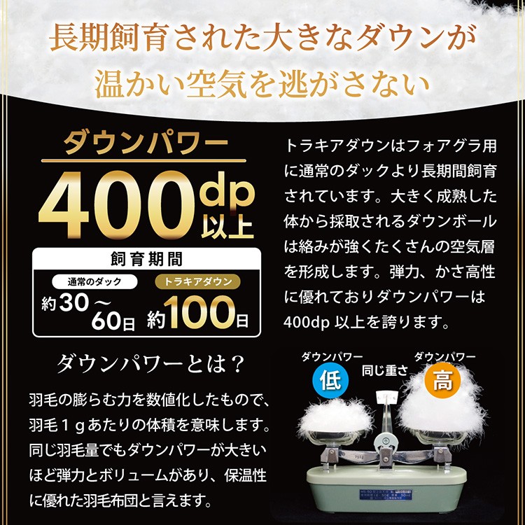 羽毛布団 本掛け ホワイトダックダウン93％ ダブル 1.7kg 80番手サテン 綿100％ アイボリー ブルガリア産 冬用 布団 ふとん 羽毛 羽毛掛け布団 寝具 ロイヤルゴールド 400dp 収納袋付 日本製 国産 増量 無地 [川村羽毛 山梨県 韮崎市 20745160]