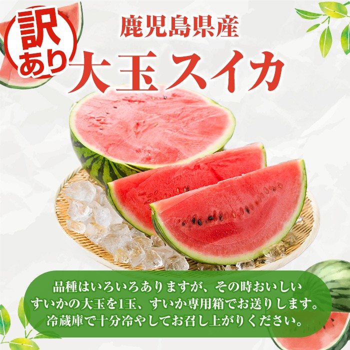 <先行予約受付中!2026年6月中旬以降順次発送予定>訳あり!鹿児島県産 大玉スイカ(1玉・約10kg) 国産 果物 スイカ すいか 西瓜 フルーツ スイーツ スムージー ジュース【松永青果】akn053-21