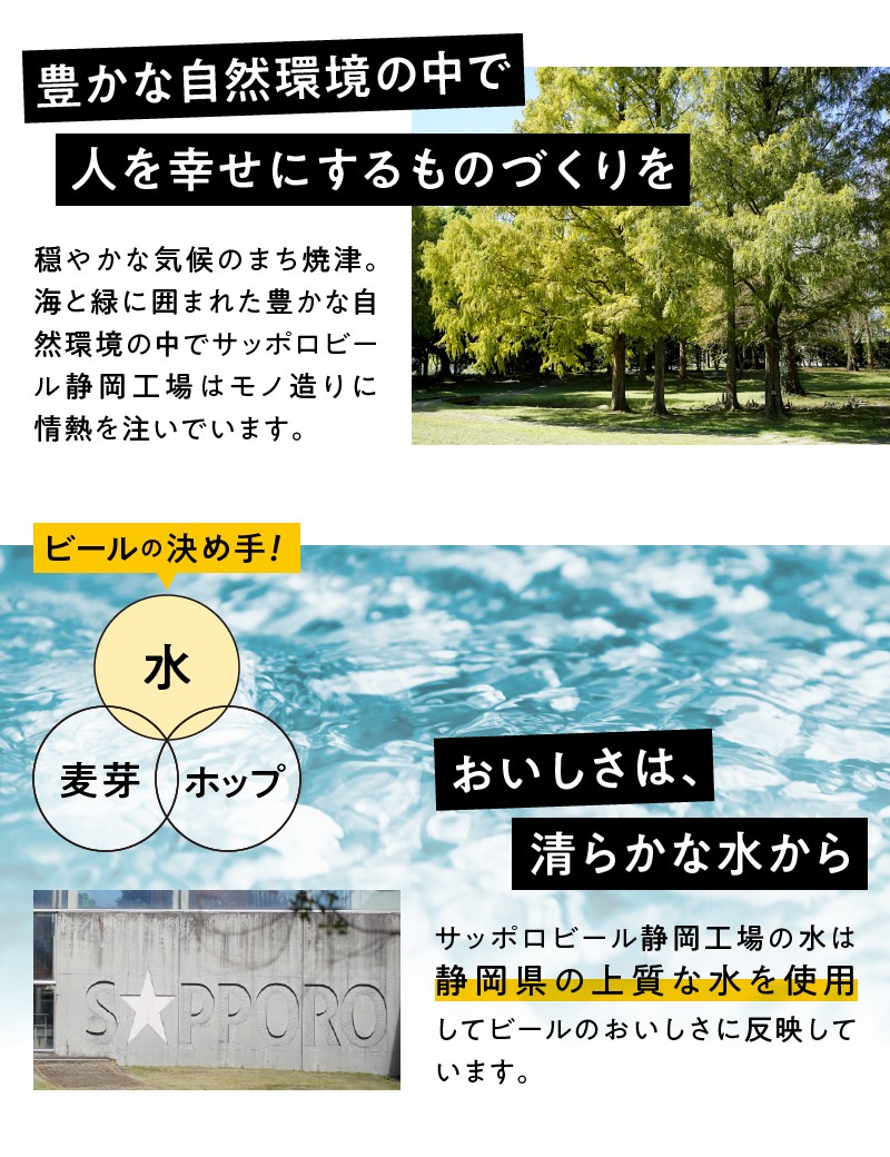 T0107-1004 【定期便】エビス プレミアムエール 350ml×12本 4回