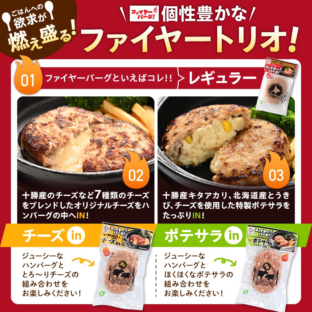 【定期便4回】ファイヤーバーグ満喫定期便