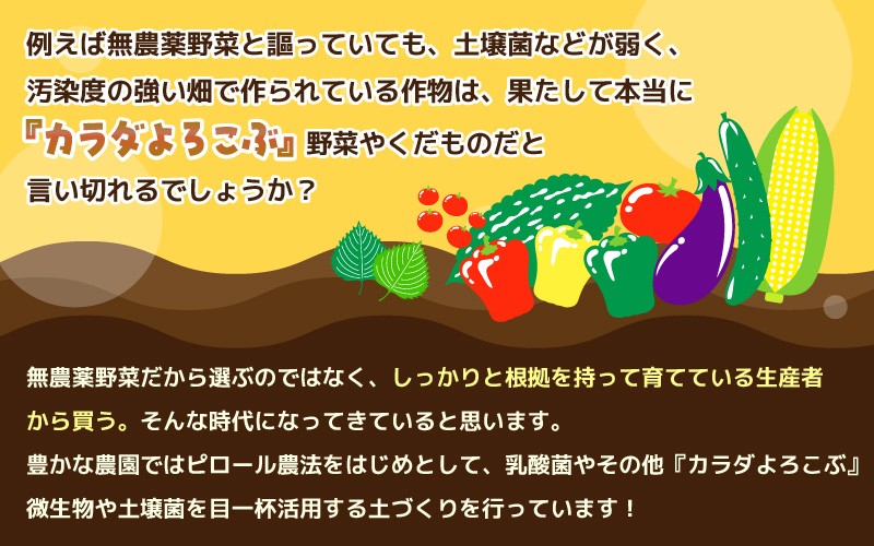 【先行予約】 安心安全！減農薬！こだわり農法で育てた ユウカメロン 1玉 1.5kg以上 【2026年6月中旬以降順次発送予定】 【メロン めろん フルーツ デザート 果物 くだもの 果実 糖度 甘い 産地直送 国産】 [A-21213]