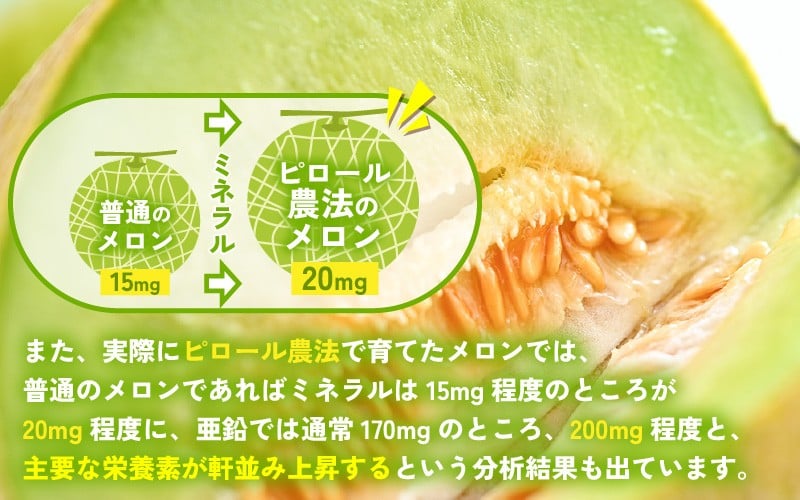 【先行予約】 安心安全！減農薬！こだわり農法で育てた ユウカメロン 1玉 1.5kg以上 【2026年6月中旬以降順次発送予定】 【メロン めろん フルーツ デザート 果物 くだもの 果実 糖度 甘い 産地直送 国産】 [A-21213]