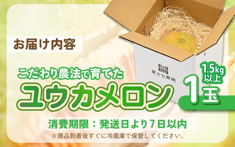 【先行予約】 安心安全！減農薬！こだわり農法で育てた ユウカメロン 1玉 1.5kg以上 【2026年6月中旬以降順次発送予定】 【メロン めろん フルーツ デザート 果物 くだもの 果実 糖度 甘い 産地直送 国産】 [A-21213]