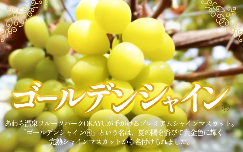 【訳あり】完熟シャインマスカットの極上ジュース「ゴールデンシャイン」150cc [aw007-a006]
