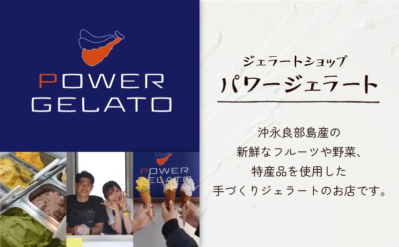 POWER GELATO 沖永良部島産（ミックスセット12個入り）　W066-003-02