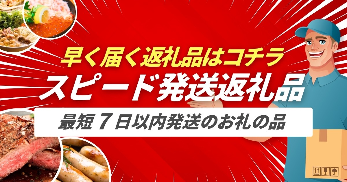 【スピード発送】 天然 精進 だし 100g×3袋 無添加 国産 素材 玄米 麹 昆布 干 しいたけ