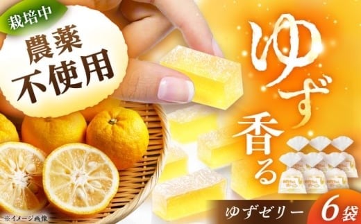 ゆずゼリー 6袋 / ゼリー ゆずゼリー お菓子 柚子 ゆず 和菓子 お菓子 おかし おやつ デザート スイーツ 柚子 ゆず 送料無料 お取り寄せ ギフト 贈答 プレゼント / 恵那市 / かさぎゆず組合 [AUAW015]