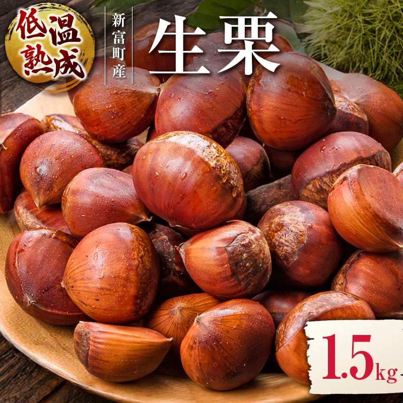 <期間限定>国産 低温熟成栗(生栗)1.5kg 熟成宝珠栗 産地直送 宮崎県新富町産【B672】