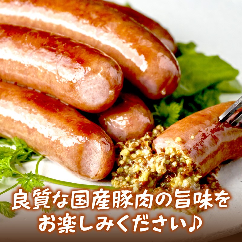 ★選べる配送月★[6月発送]【昔ながらのお肉屋さん】ヒライの手造りウインナー満足セット1kg《 ソーセージ 送料無料 ウインナー ウィンナーソーセージ 国産 冷凍  お弁当 おつまみ豚肉  あらびき ポークウインナー 》【2401I00122-06】