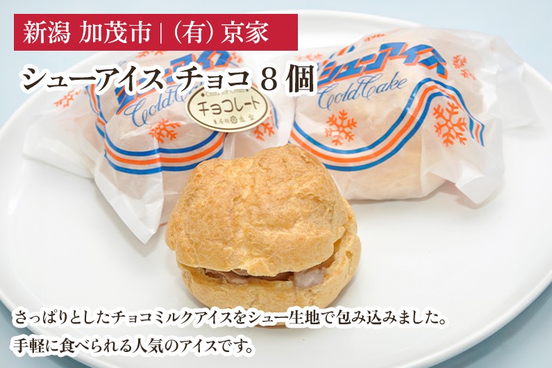 シューアイス チョコ 8個 アイスクリーム しゅーあいす スイーツ ひんやり 氷菓 ジェラート 洋菓子 京家 加茂市