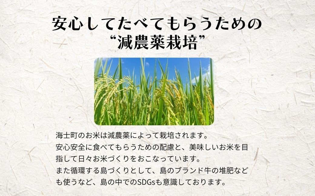 【定期便4ヵ月】計20kg!令和7年度新米 きぬむすめ 5kg×4か月定期便 お米 新米 精米 白米 弁当 ごはん ご飯 きぬむすめ 年末年始 お正月 お歳暮 御歳暮 ギフト 定期便