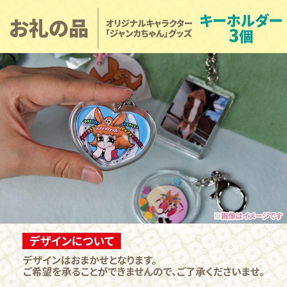 <地域の祭りを彩る ジャンカン馬 栗姫を応援!オリジナルキャラクタージャンカちゃんグッズ付(キーホルダー3個)>寄附 寄付 お礼の品 返礼品あり 地域貢献 伝統文化 文化継承 ふるさと 応援プロジェクト まつり継続支援 JANKAN NEXT100 保護 保全活動 動物愛護 動物 ボランティア 愛護活動【MI640-ar】【アラテイク】