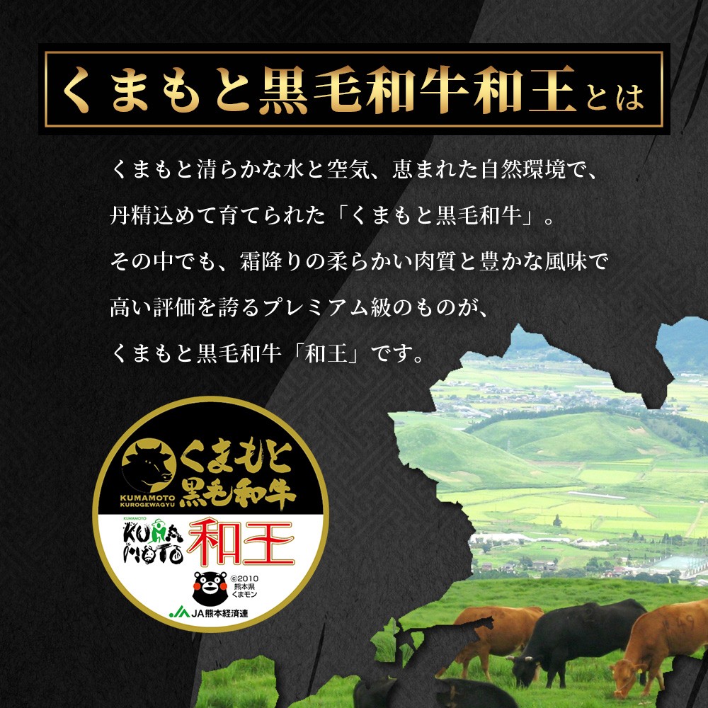 【5月発送】くまもと黒毛和牛(和王) サーロインステーキ 400g(200g×2) ブランド牛 肉 サーロイン ステーキ 霜降り 上質 牛肉 冷凍 精肉 国産 牛 プレミアム品質 122-0517-05