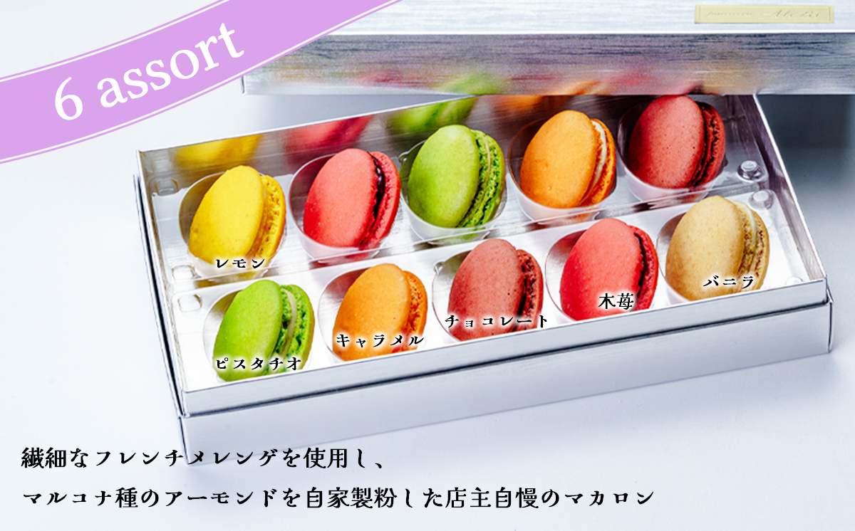 パティスリーアルビ　マカロン詰め合わせ(10個入り)【マカロン 詰め合わせ 冷凍 焼き菓子 洋菓子 茨城県 つくば市 】