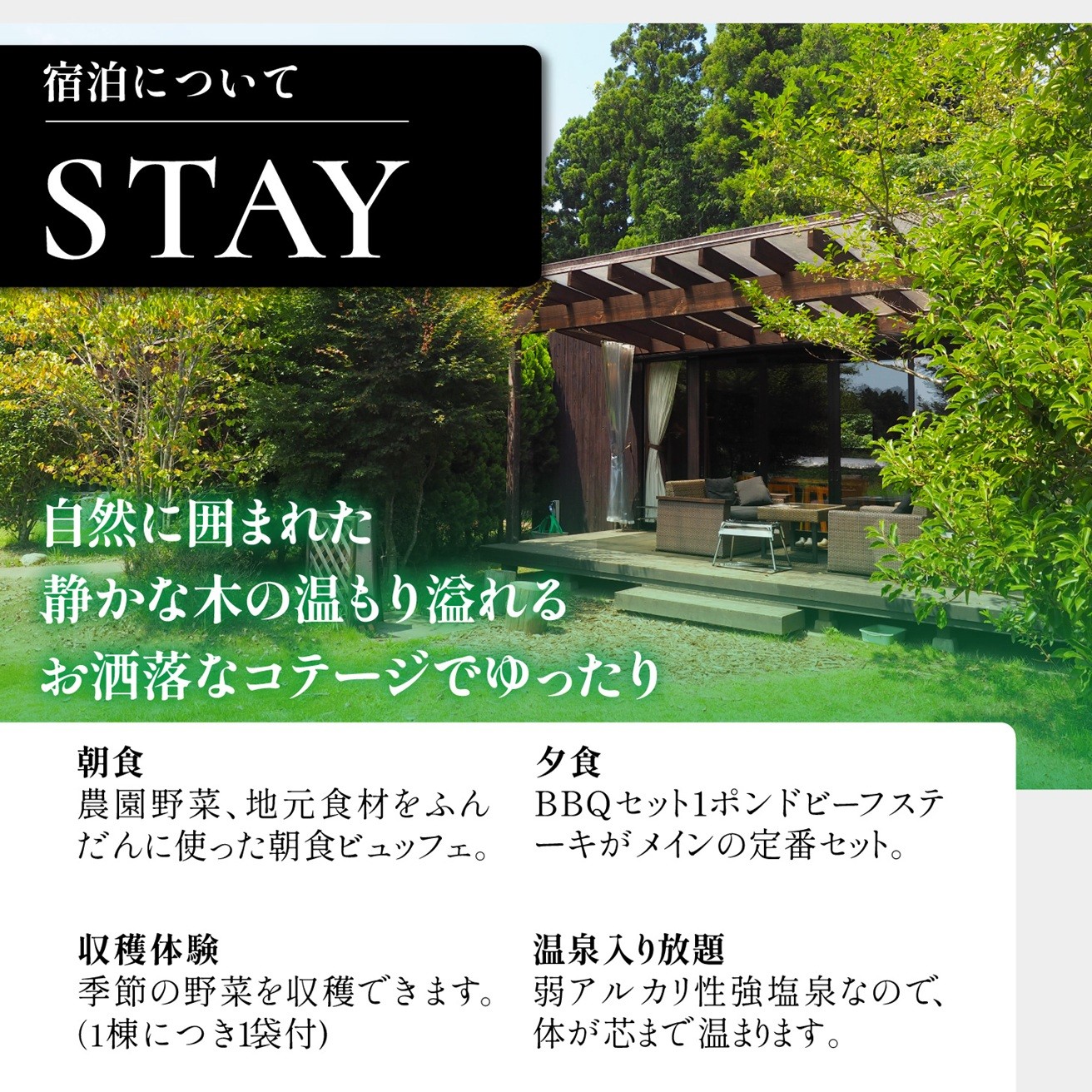 【THE FARMコテージ】BBQプラン ペア宿泊券(1泊2食BBQ・朝食・天然温泉・収穫体験付き) KTRC001