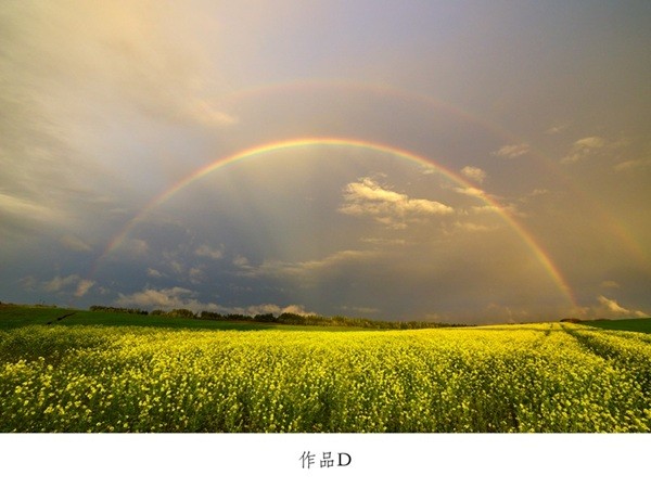 写真家 中西敏貴 額付き写真（サイン入り）[080-29]