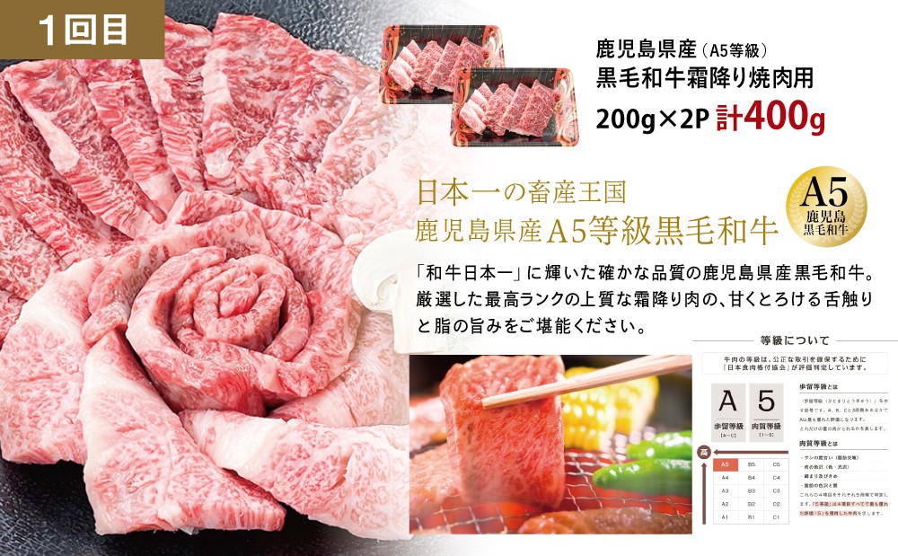 【厳選焼肉定期便】黒毛和牛・ブランド豚・牛タン 全3回コース 牛肉 焼肉 焼き肉 BBQ バーベキュー 豚肉 バラ ロース 牛タン お肉 小分け 冷凍 定期配送 カミチク スターゼン JA食肉かごしま 鹿児島県南さつま市