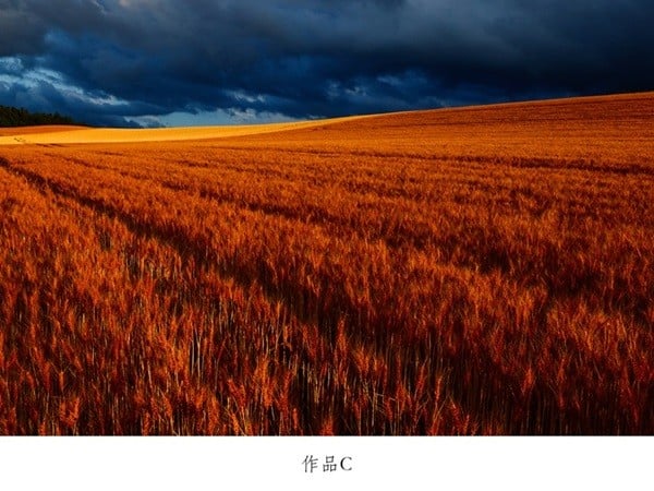 写真家 中西敏貴 額付き写真（サイン入り）[080-29]