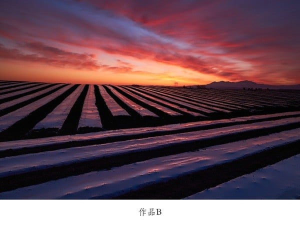 写真家 中西敏貴 額付き写真（サイン入り）[080-29]