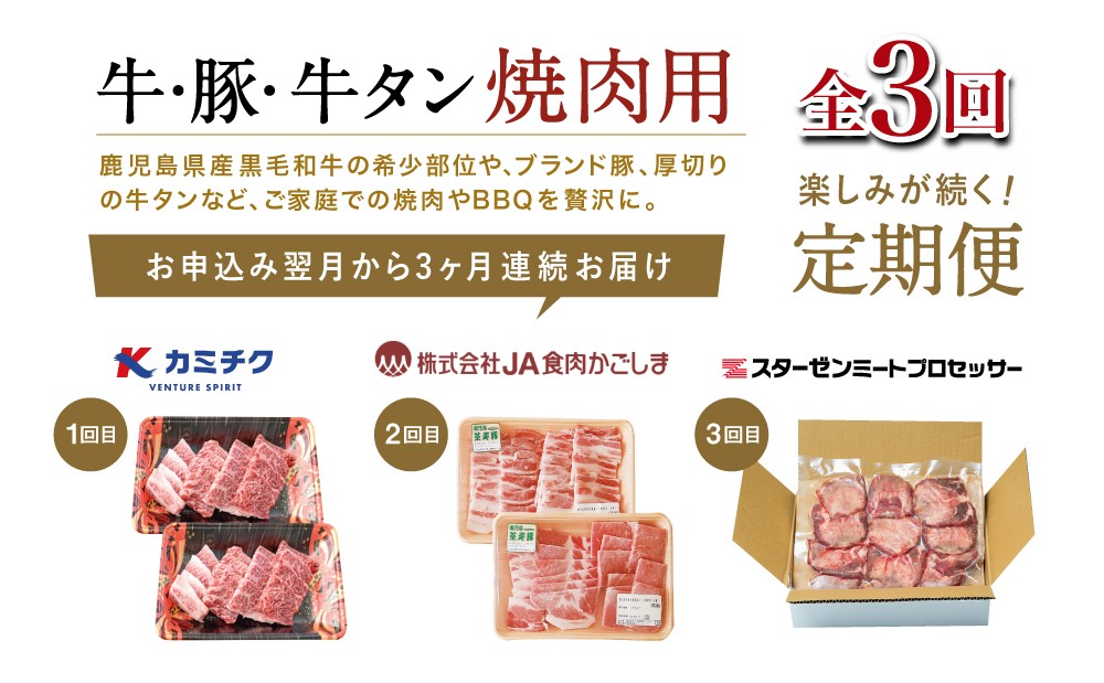 【厳選焼肉定期便】黒毛和牛・ブランド豚・牛タン 全3回コース 牛肉 焼肉 焼き肉 BBQ バーベキュー 豚肉 バラ ロース 牛タン お肉 小分け 冷凍 定期配送 カミチク スターゼン JA食肉かごしま 鹿児島県南さつま市