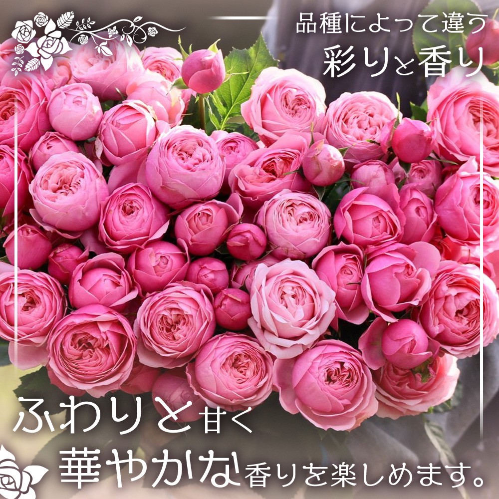 【人気の春・冬薔薇をお届け】 ばら農家直送 ！ バラ花束30本以上お届け(赤系) 【ギフト対応可】 TB-13│ローズ 新鮮 花 フラワー 花束 ばら 薔薇 バラ 誕生日 記念日 結婚祝い ギフト プレゼント お祝い 贈り物 贈答 鹿児島県 南大隅町 富田バラ園