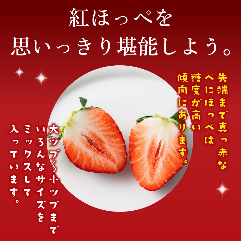 【1~4月発送】 紅ほっぺ 2000g以上 いちご 1000g×2パック イチゴ 冷蔵発送 苺 2kg 土耕栽培 フルーツ 果物 スイーツ デザート朝摘み ストロベリー おやつ 完熟 直送 ギフト 家庭用 贈答用 贈答 ギフト 贈り物 甘い ブランド ジャム アレンジ フルーツサンド 農家直送 ベリー 産地直送 国産 おすすめ 森木農園 静岡県 牧之原市 ~土耕栽培だから濃くて甘い!~