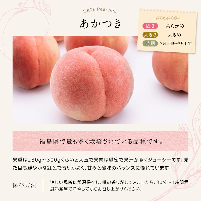 【2026年出荷分先行予約】福島県産 あかつき 約3kg (9~12玉) 桃井あい農園 伊達の桃 桃 フルーツ 果物 もも モモ momo F21C-206