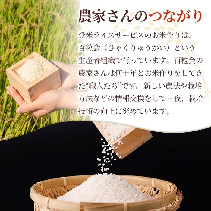 ≪令和7年産≫【10回定期便】つや姫 計50kg(5kg×10回配送) 登米市産 お米 おこめ 米 コメ 白米 ご飯 ごはん おにぎり お弁当 10か月 頒布会【登米ライスサービス株式会社】tm491