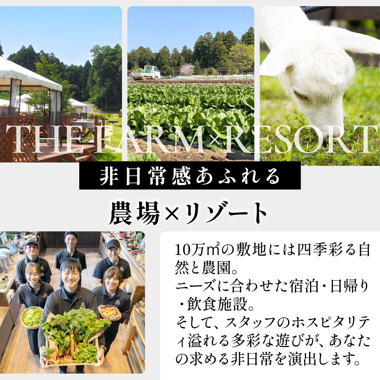 BBQやキャンプなども楽しめる複合施設 THE FARM利用券30,000円分 KTRC017