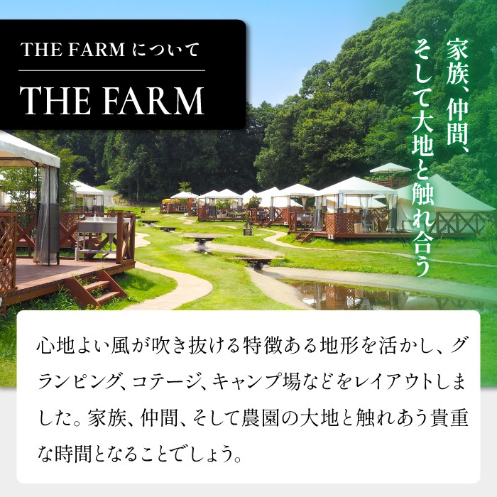 THE FARMで収穫体験&採れたて新鮮野菜をBBQで食べる贅沢な食体験(2名様) KTRC011