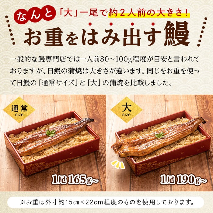 【丑の日までに配送】<肝串3本付き!>日ノ本一の鰻の蒲焼き<大>1尾(約190g以上) a3-202-km-us