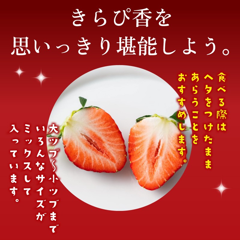【3月発送】きらぴ香 2kg 以上 いちご 1000g×2パック イチゴ 冷蔵発送 苺 2kg 土耕栽培 フルーツ 果物 スイーツ デザート朝摘み ストロベリー おやつ 完熟 直送 ギフト 家庭用 贈答用 贈答 ギフト 贈り物 甘い ブランド ジャム アレンジ フルーツサンド 農家直送 ベリー 産地直送 国産 おすすめ 森木農園 静岡県 牧之原市 ~土耕栽培だから濃くて甘い!~