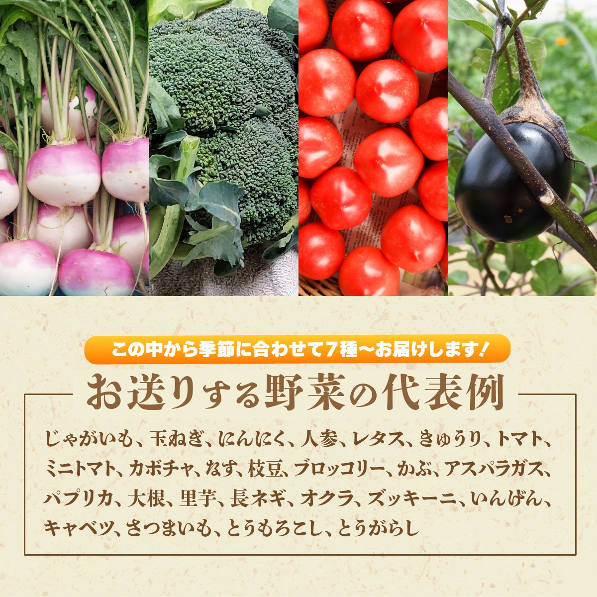 <3ヵ月定期便>旬の野菜詰め合わせ11種~12種 | 野菜 定期便 季節の野菜 旬の野菜 新鮮野菜 産地直送 栽培期間中農薬不使用 有機 オーガニック フレッシュ セット 詰め合わせ サラダ 料理 炒め物 煮物 スムージー 旬 おいしい 安全 安心 お取り寄せ ギフト おすすめ 3回 6回 12回 世界農業遺産 埼玉県 所沢市
