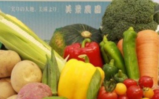 【先行予約】野菜 定期便 6回 <令和8年産 >美景農園 グリーンアスパラ1kg、赤肉メロン2玉、スイートコーン6本、夏野菜セット(7～9品)、秋の味覚セット(じゃがいも3品種、玉ねぎ、人参、坊ちゃん南瓜)、米(新米)5kg[100-52]