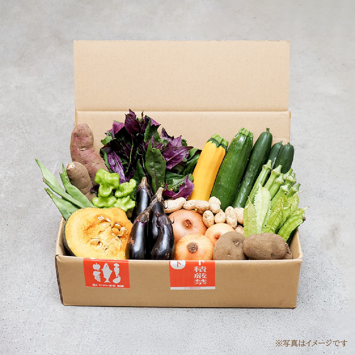 <3ヵ月定期便>旬の野菜詰め合わせ11種~12種 | 野菜 定期便 季節の野菜 旬の野菜 新鮮野菜 産地直送 栽培期間中農薬不使用 有機 オーガニック フレッシュ セット 詰め合わせ サラダ 料理 炒め物 煮物 スムージー 旬 おいしい 安全 安心 お取り寄せ ギフト おすすめ 3回 6回 12回 世界農業遺産 埼玉県 所沢市