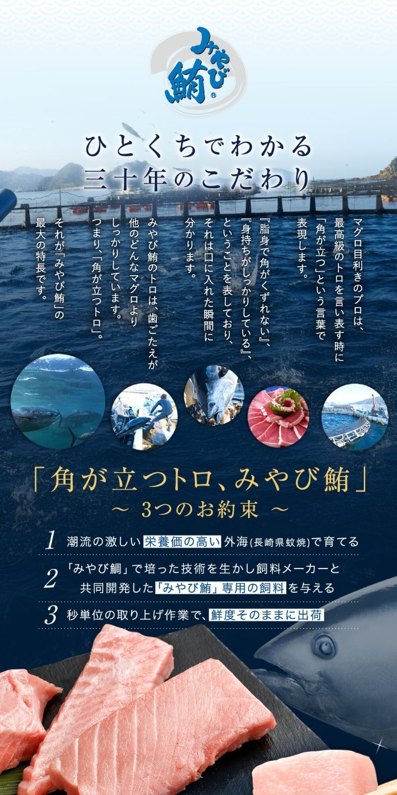 本マグロ大賞受賞 みやび鮪 たたき 約400g (約4~5人前) ・ 【訳あり】 みやび鮪 切り落とし 端っこちゃん 約400g (約4~5人前) 合計約800g 訳アリ わけあり 理由あり 鮪 まぐろ 本マグロ 本鮪 本まぐろ タタキ トロ 魚 九州 長崎県 長崎市 冷凍