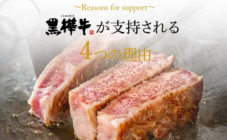 ステーキ 牛肉 A4~A5 計600g (200g×3)杉本本店 黒樺牛
