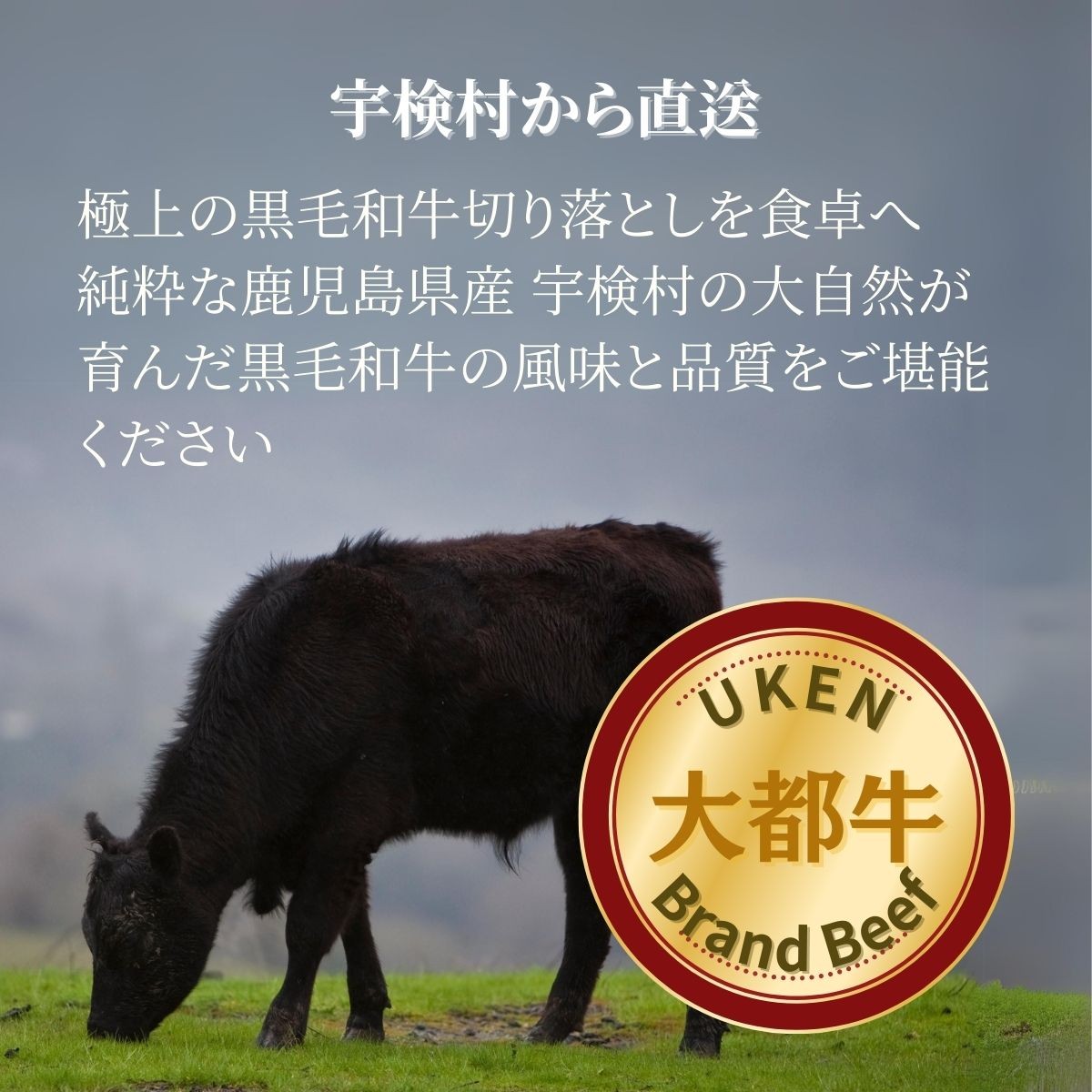 【鹿児島県産 黒毛和牛】 カルビ 400g 【数量限定】大都牛 ブランド 牛 うし 牛肉 ビーフ 奄美大島 宇検村 経産牛