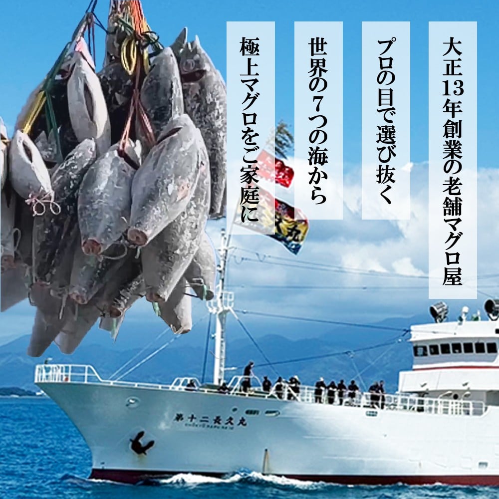 今だけ増量!ネギトロ (まぐろたたき) 880g (80g ×11袋) セット小分け 天然まぐろ ネギトロ ねぎとろ ネギトロ丼 手巻き寿司 軍艦 寿司 まぐろたたき 天然 まぐろ マグロ 冷凍 魚介 海鮮 トロ 鮪 人気 返礼品 三重県 尾鷲市 CH-116