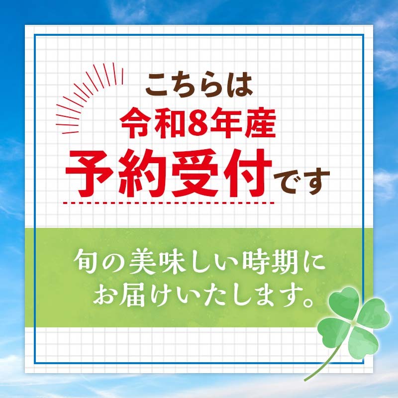【先行予約】令和8年産 ホワイトアスパラガス(2Lサイズ) 1kg アスパラ 野菜 やさい ふるさと 納税 国産 北海道産 北海道 下川町 F4G-0285