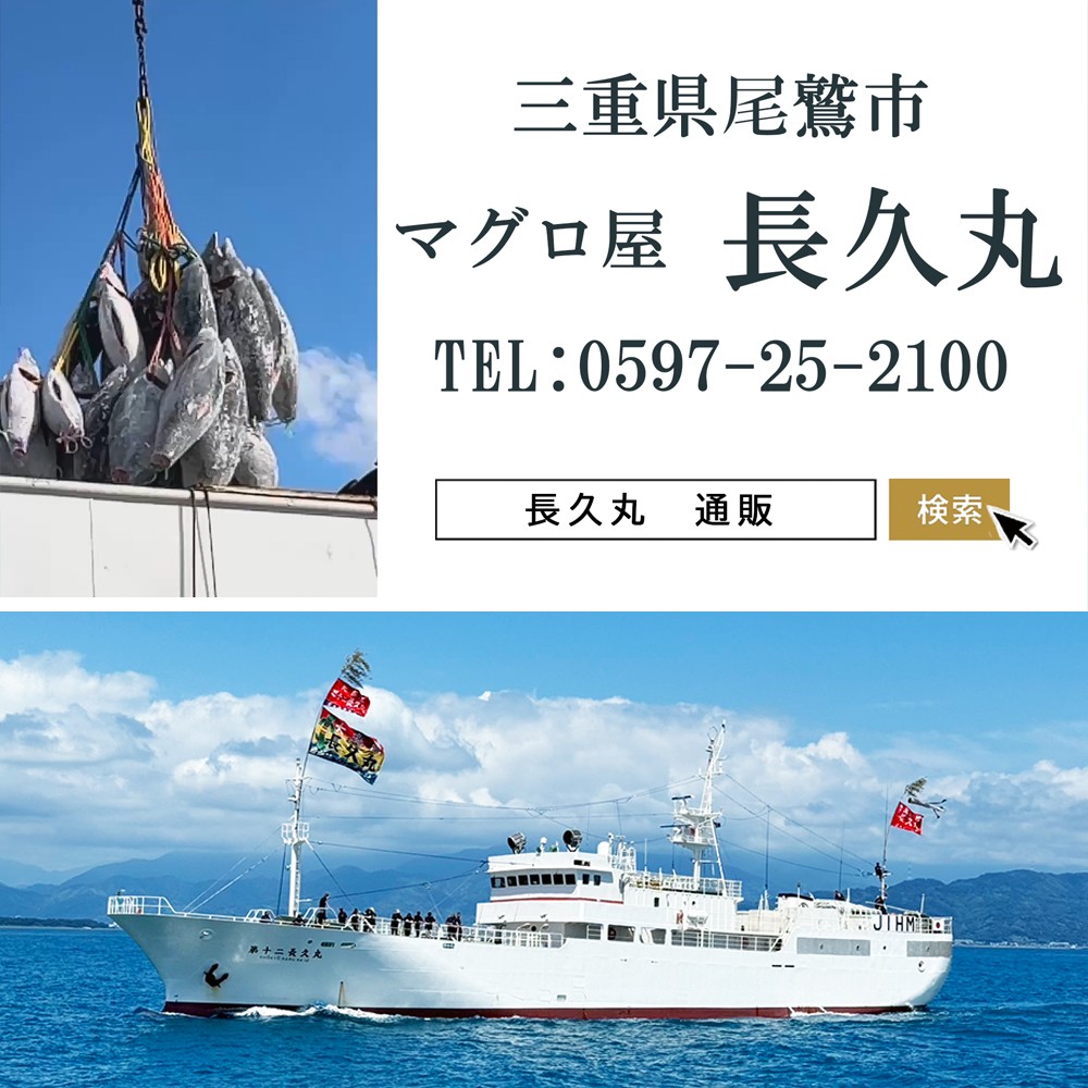 今だけ増量!ネギトロ (まぐろたたき) 880g (80g ×11袋) セット小分け 天然まぐろ ネギトロ ねぎとろ ネギトロ丼 手巻き寿司 軍艦 寿司 まぐろたたき 天然 まぐろ マグロ 冷凍 魚介 海鮮 トロ 鮪 人気 返礼品 三重県 尾鷲市 CH-116