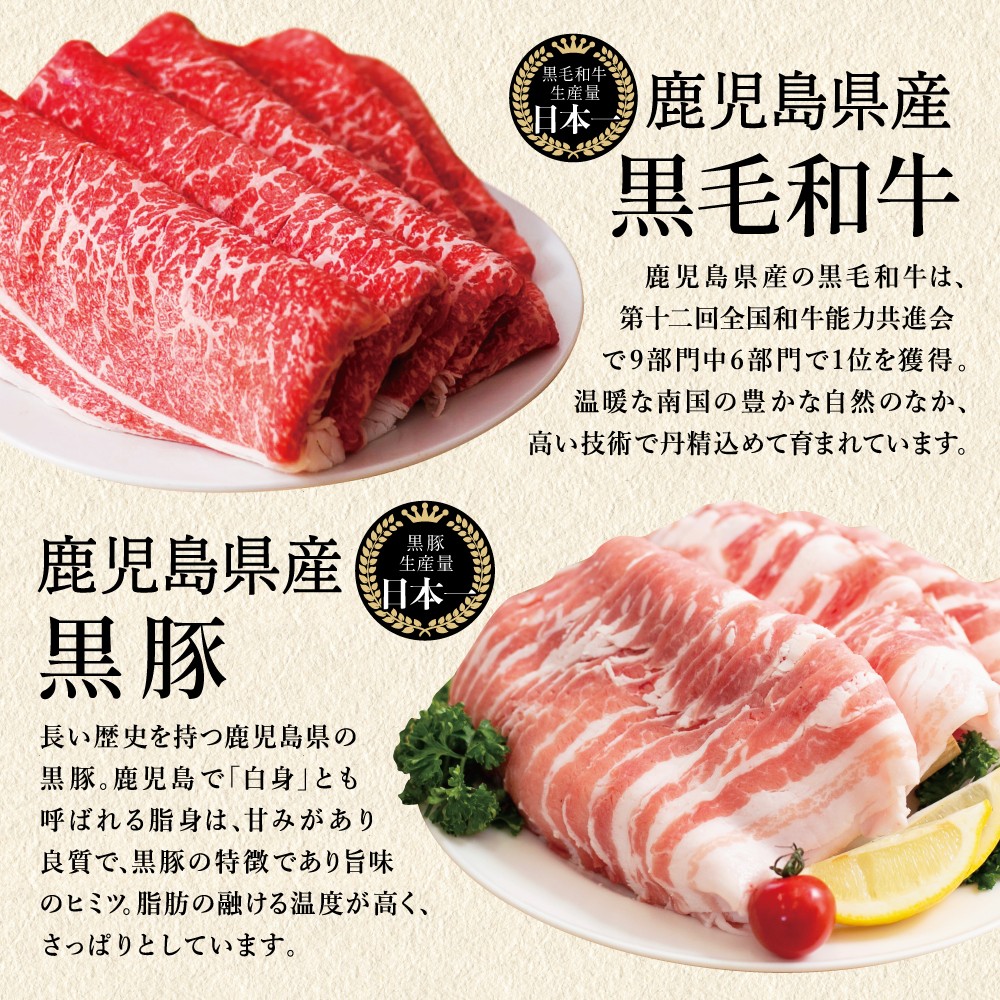 【定期便 全6回】スターゼン厳選お肉の定期便(鹿児島県産黒毛和牛・黒豚) 牛肉 豚肉 サーロイン ステーキ 切り落とし しゃぶしゃぶ 焼肉 すき焼き もも モモ バラ ロース スライス 小分け 定期便 冷凍 スターゼン 南さつま市