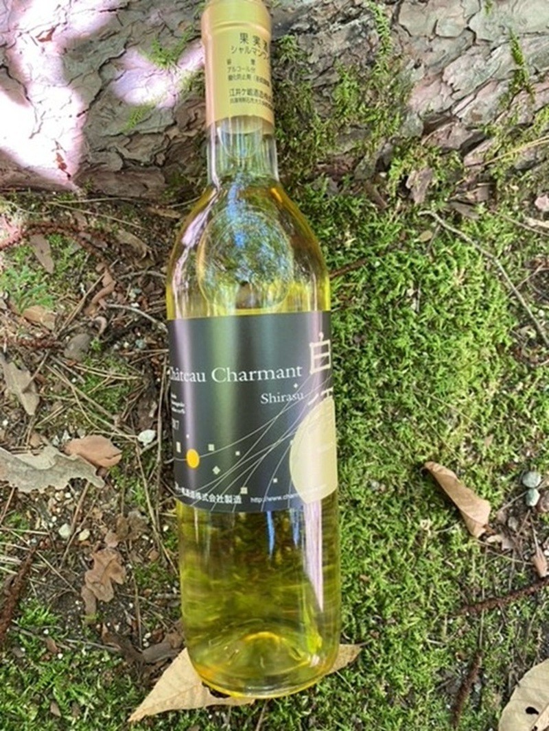 北杜のマニアックな白ワイン 4本セット  ワイン セット 4種類 甲州・白須 追熟無濾過 セミヨン 白須 シャルドネ樽発酵熟成 ヴィオニエ シャルマンワイン モンデ酒造 720ml 750ml お酒 アルコール 北杜 明野 ブドウ 