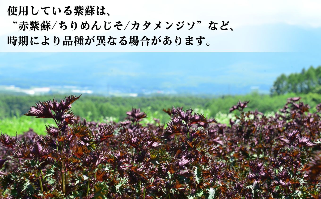 馨工房 濃縮 赤紫蘇シロップ 500ml×3本(6倍希釈用)