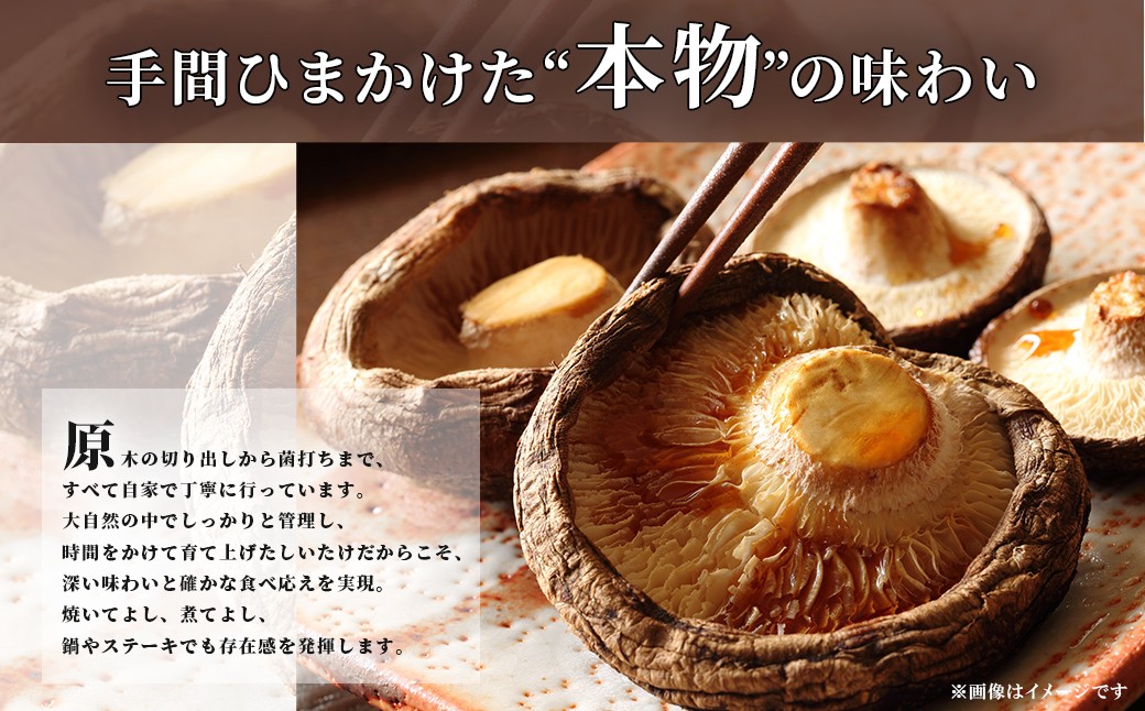 【2025年12月中旬より順次発送!】京都丹波産 原木しいたけ 1kg 【ふるさと納税 しいたけ シイタケ 椎茸 原木 自家栽培 煮物 炒め物 京都府 福知山市】FCFB005