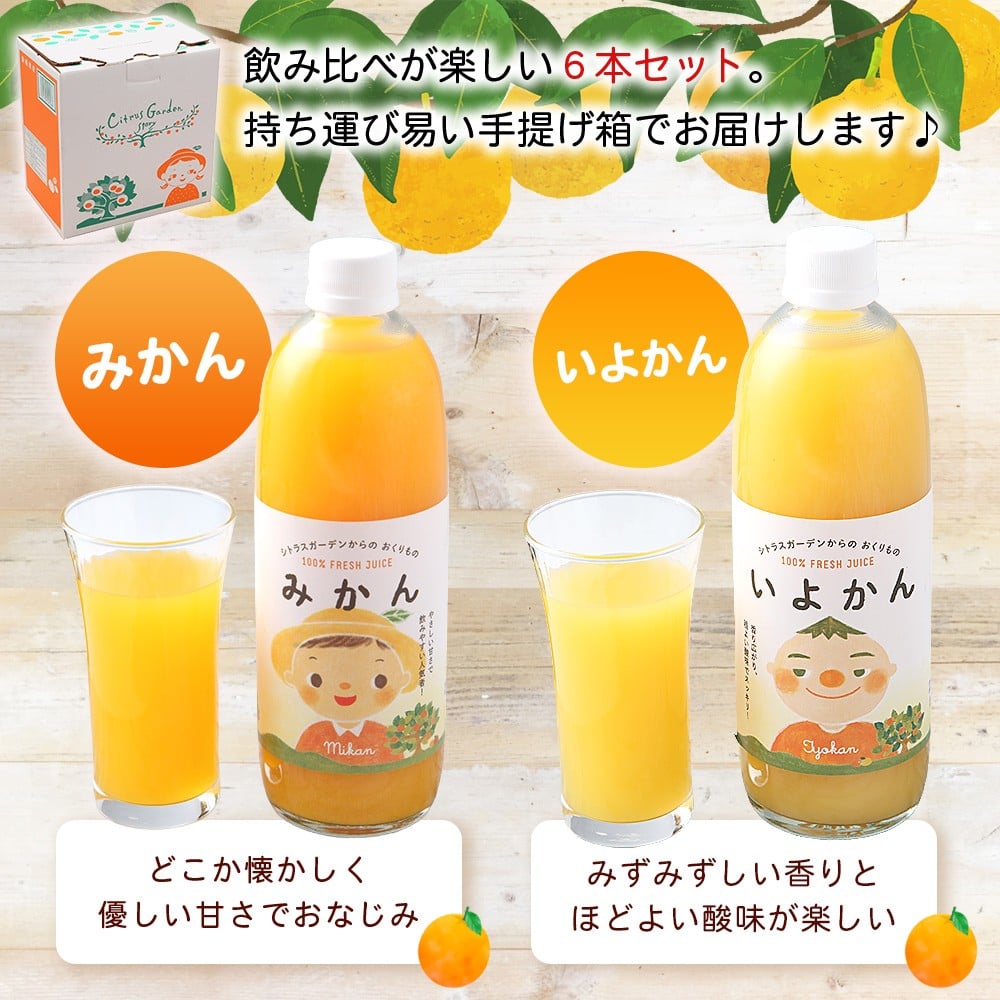 ＜マルワフルーツ柑橘アソート 100％ストレート果汁ジュース 500ml×6本＞ 詰め合わせ セット スイーツ 果物 フルーツ みかん オレンジ 柑橘 清見 でこひめ 河内晩柑 伊予柑 せとか 特産品 愛媛県 西予市【常温】『1か月以内に順次出荷予定』