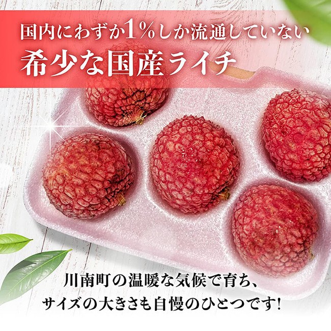 【令和8年産】川南町産ライチ(大粒)10粒(5粒×2パック) 【 国産ライチ フルーツ デザート 宮崎県産 】