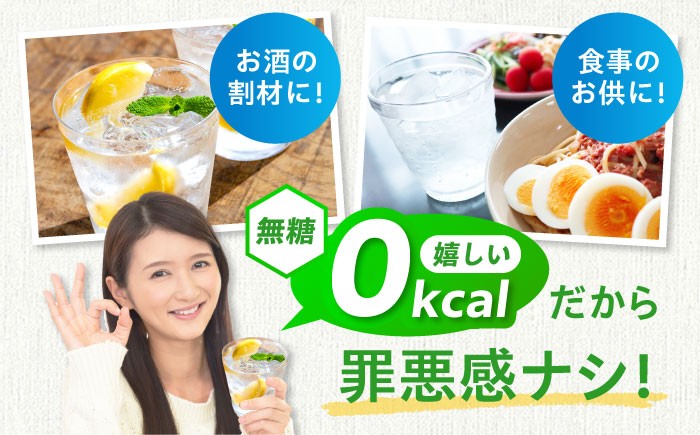 【年内発送】【10日以内発送】VanaSilica（バナシリカ） 富士山のバナジウム＆シリカ 強炭酸水 500ml 24本 炭酸 強炭酸 炭酸水 大容量 ハイボール 割り材 割材 ペットボトル お水 飲料 飲料水 ドリンク 飲み物 備蓄 災害 大阪府高槻市/クリックル株式会社 [AOEH009] 天然水 バナジウム シリカ 強炭酸水 大容量 ペットボトル ハイボール 割材 飲料水 健康 水分補給