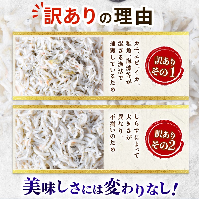訳あり 釜揚げしらす 約1kg 冷凍 惣菜 弁当 晩ごはん 白州 白子 魚介類 海鮮 わけあり 小魚 魚 鮮魚 グルメ 人気 海の幸 ふりかけ ちりめん しらすご飯 国産 じゃこ しらす丼 塩分控えめ 減塩 離乳食 高齢者 赤ちゃん おにぎり パスタ アレンジ 料理 おいしい 安心 安全 旨味 保存方法 冷凍保存 解凍方法 おすすめ 使い方 食べ方 安芸市 高知県
